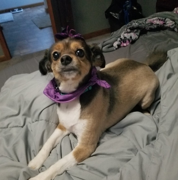 Meet your Posher, Monica - Picture 1 of 1